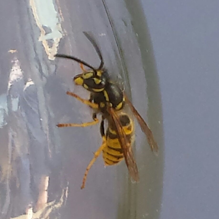 rencontres dans le val de marne
