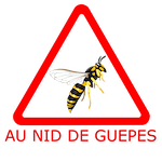 Destruction de nids frelons asiatiques, guêpes, abeilles, , bourdons - Protégeons votre maison et votre entreprise des nids d'hyménoptères